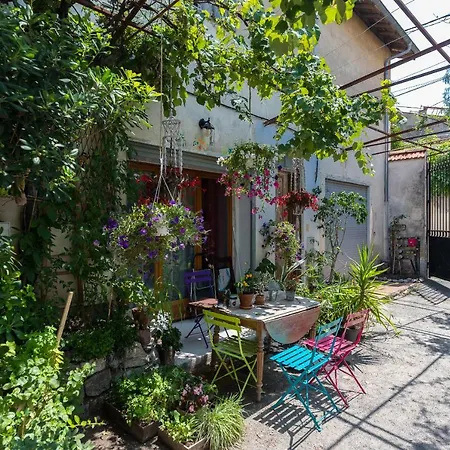 Migrainier Côté Cour Appartement
