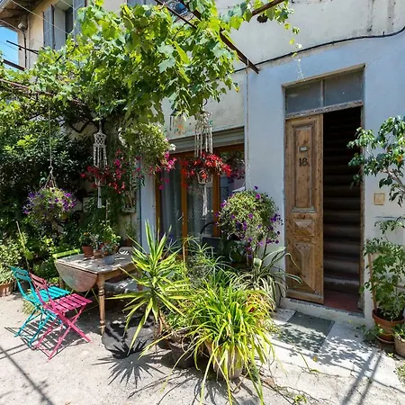 Daire Migrainier Cote Cour Antibes